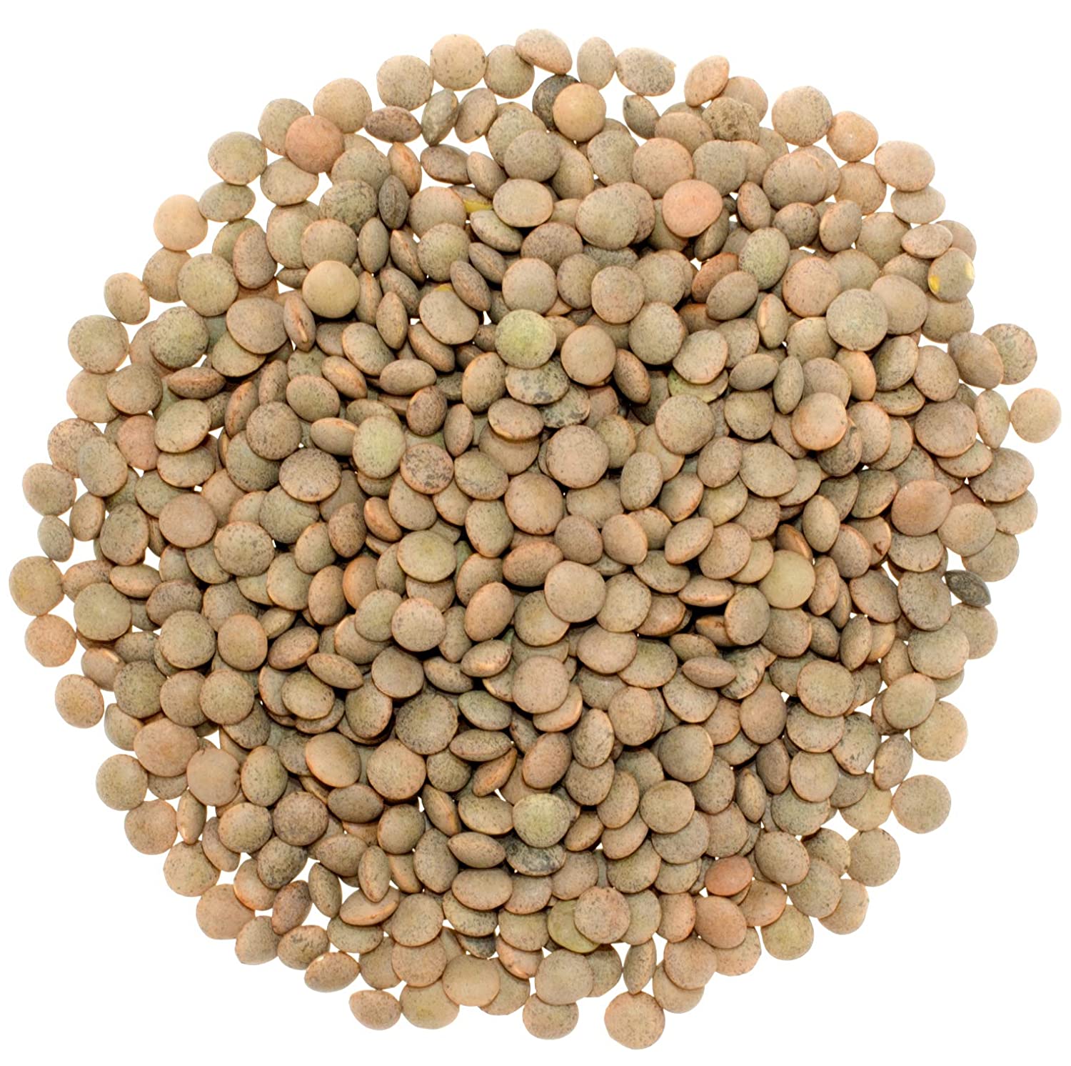 health benefits of eating brown lentils