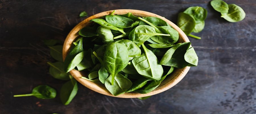 Basil leaves