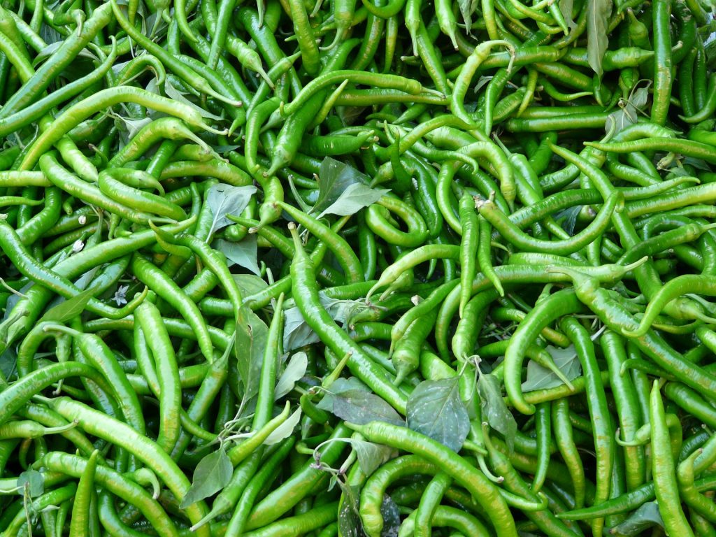 small green chili 