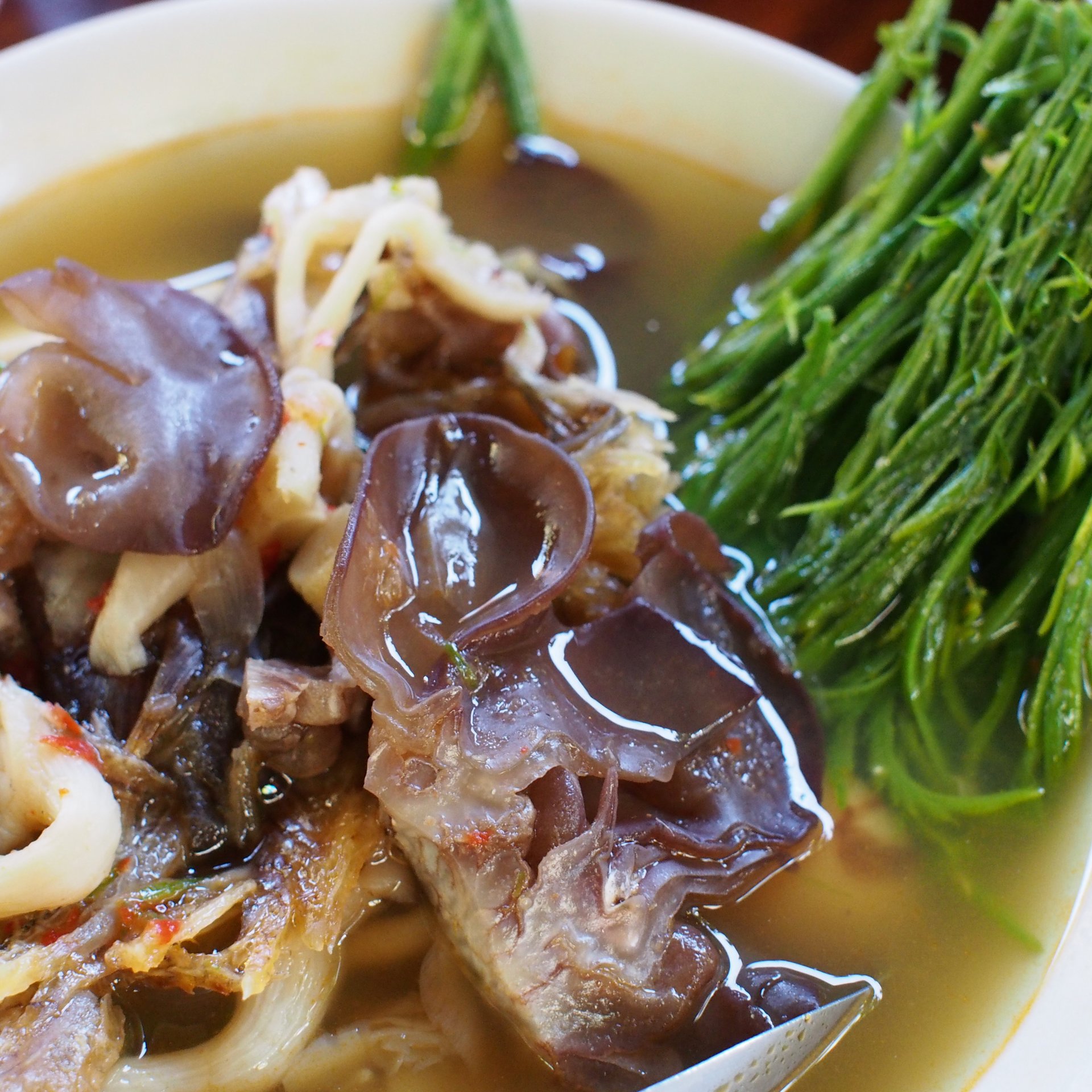 Acacia Leaf soup.