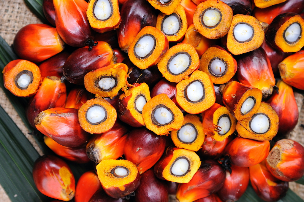 Palm Oil