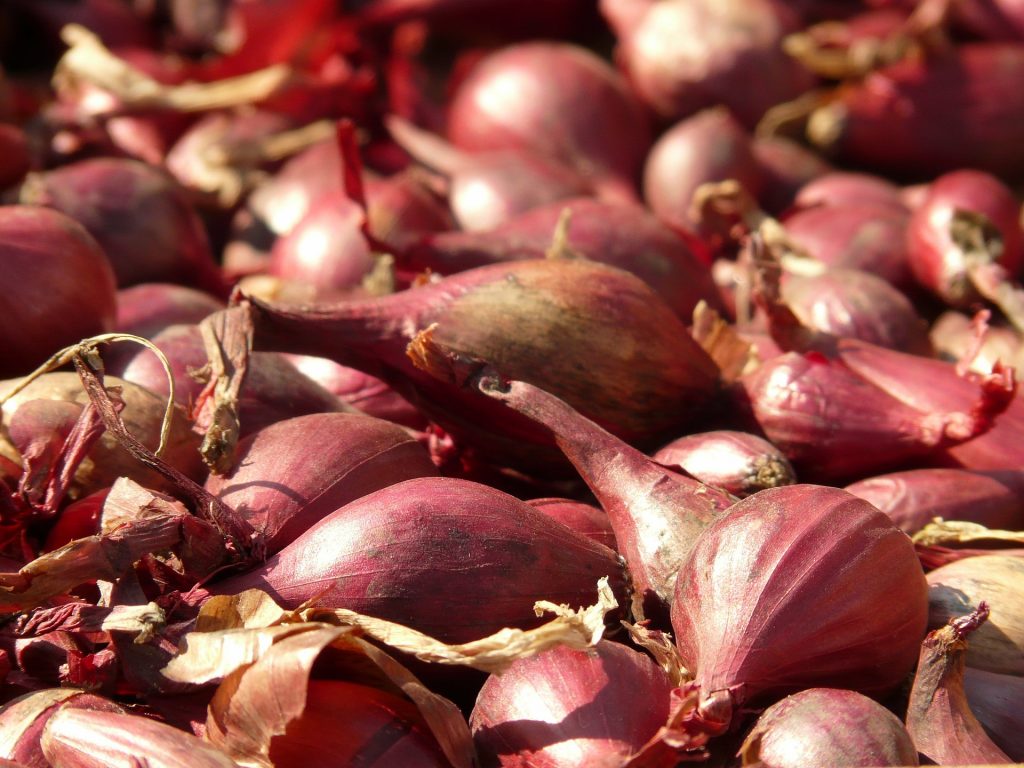 Red Shallots