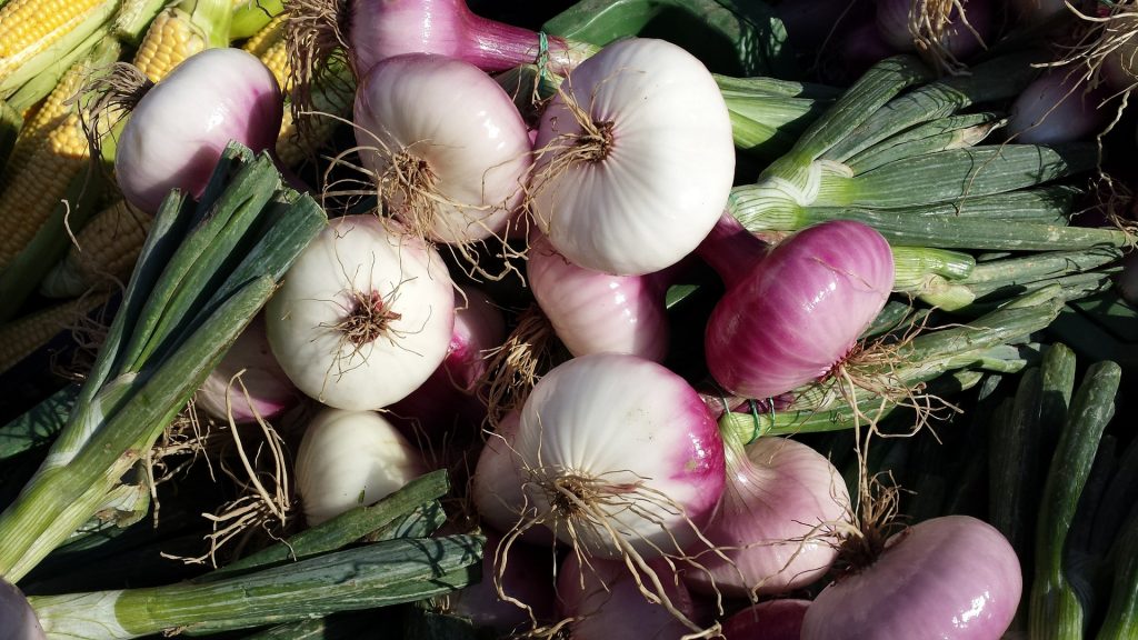Red Shallots