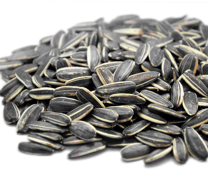 Fragrant sunflower seeds