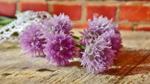 chive flowers