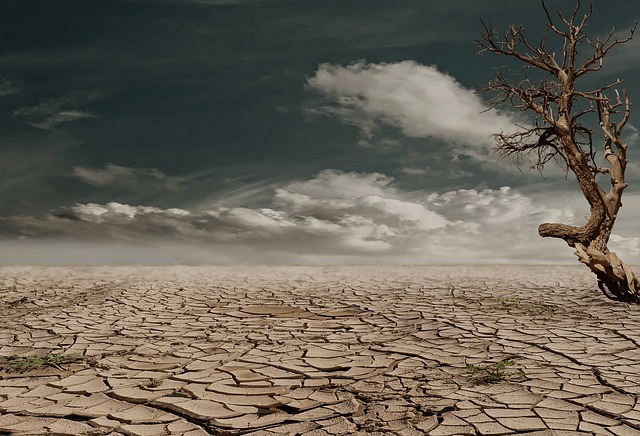 effects of drought on the environment