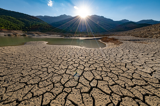 effects of drought on the environment