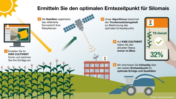 Satellites in agriculture to maintain the harvest