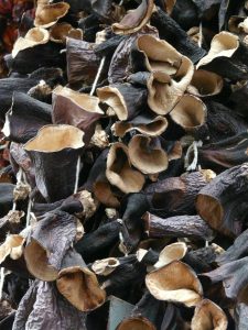 dried mushrooms