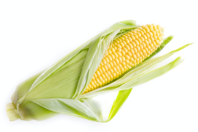 The second most profitable crops - Corn