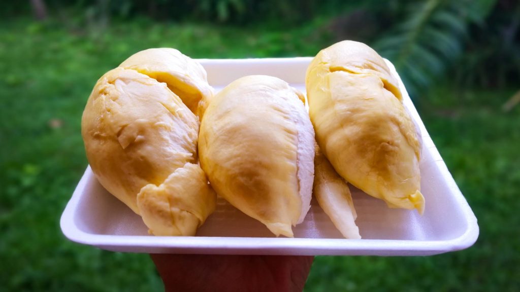 Früchte in Thailand: Durian