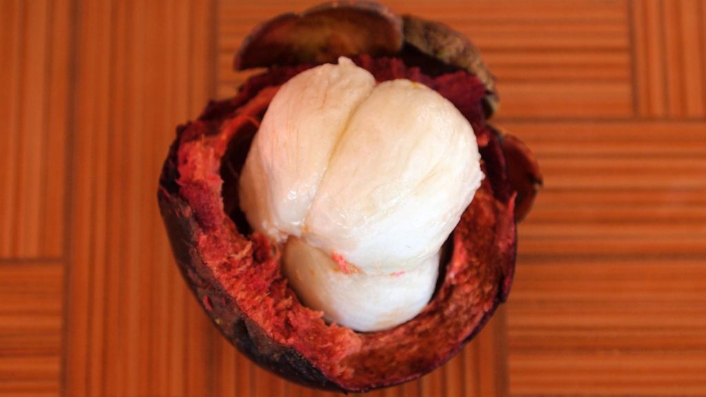 Früchte in Thailand: Mangosteen