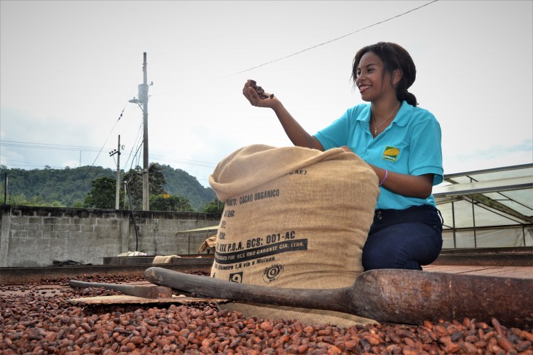 UOPROCAE Cocoa Bean sack being filled - Cocoa raw export