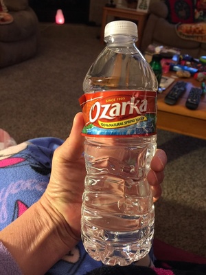 Nestle Water 101441 24PK .5L Ozarka Water .5 L(1PT, 0.9OZ) - 0022592007014