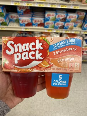 SNACK PACK Sugar Free Gel Strawberry And Orange, 13 OZ - 0027000419199