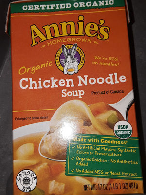 Annies Homegrown Organic Chicken Noodle Soup - 0041196138634