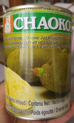 Fruit de Jacques vert dans de l'eau salée - 0044738210690