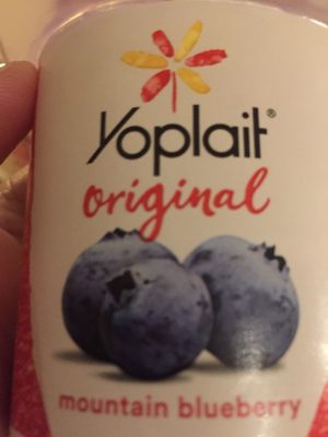 Yoplait Original Mountain Blueberry Low Fat Yogurt - 0070470409658