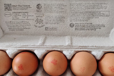 15 free range British eggs - 01888850