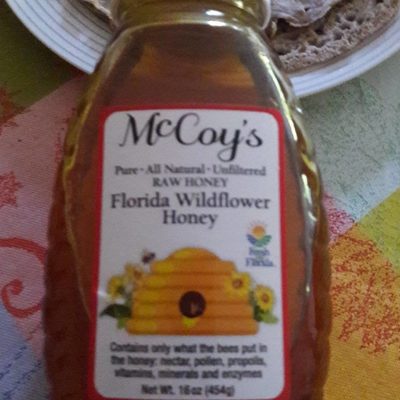 Floride Wildflower Honey - 0678267160036