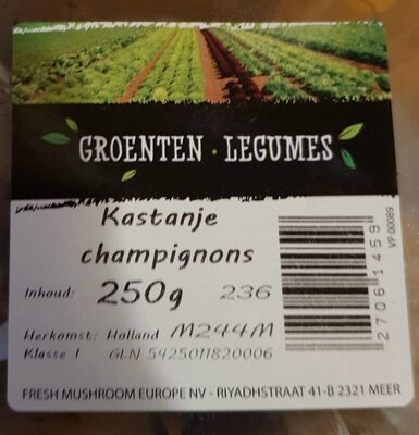 Kastanje champignons - 27061459