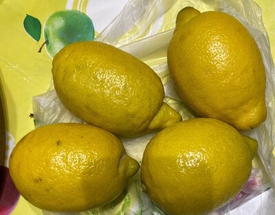 Citron jaune - 2804518022831
