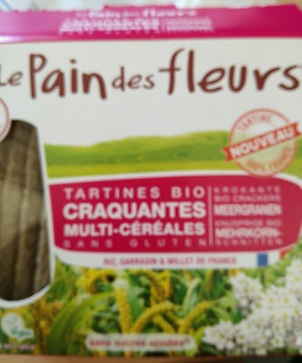 Tartines bio multi-céréales - 3380380068539