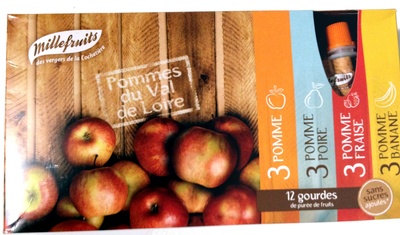 Gourdes de Purée de Fruits : mix Pommes-Poires-Fraises-Bananes - 3425310030054