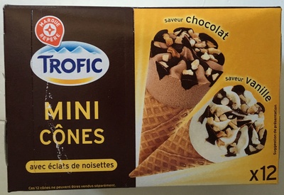 Mini cones choco vanille x12 - 3564700335710