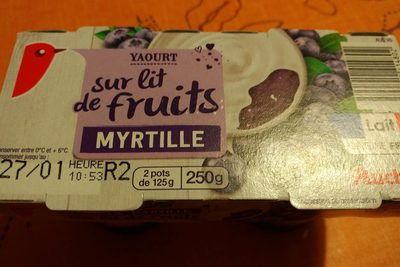 Yaourt sur Lit de Fruits Myrtille - 3596710414802