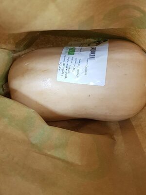 Courge Butternut - 3700617289313