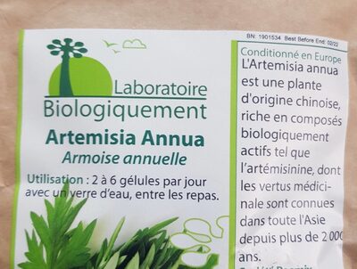 Artemisia  annua - 3770015526020