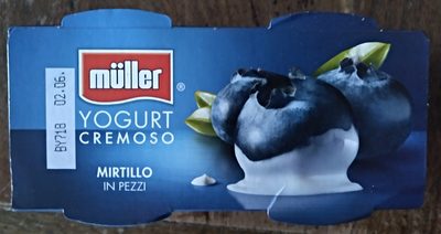 Yogurt cremoso Mirtillo - 4025500208929