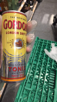 Gordon's London Dry Gin Tonic - 5000289925051