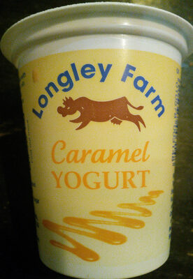Caramel Yogurt - 5010578003148