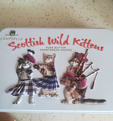 Scottish wild kittens - 5010909005124