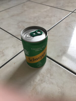 Schweppes Canada Dry 150Ml - 50193295