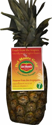 Piña Del Monte - 5050372117009