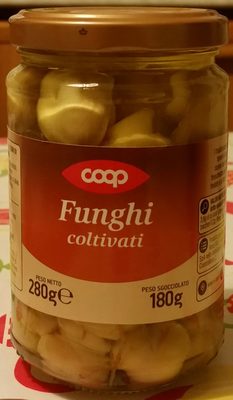 FUNGHI COLTIVATI - 80029106