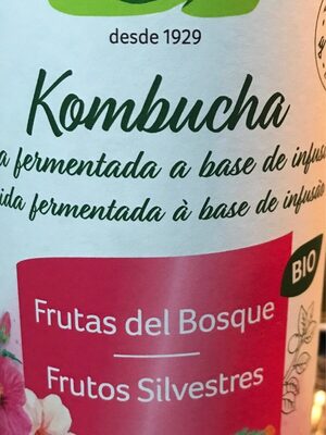 Kombucha grano vita - 8423266500831