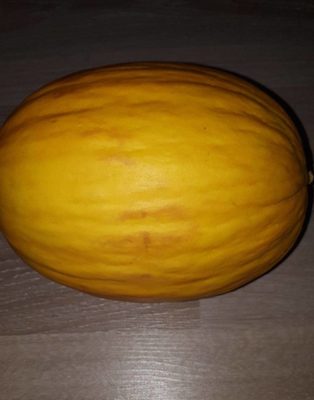 Melon jaune - 8435177000065