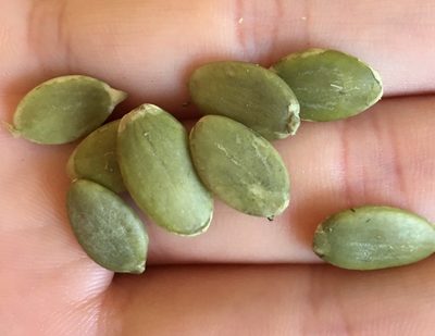 Graines De Potirons (200 GR) - 8712439066305