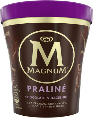 Magnum Glace Pot Noisette Praline 440ml - 8714100814499