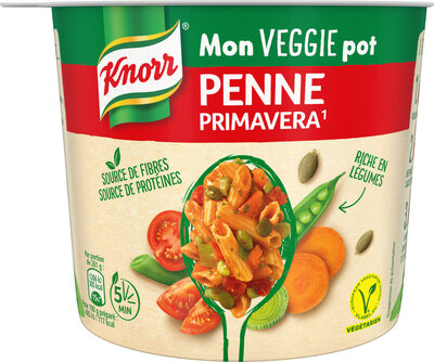 Knorr Plat Déshydraté Pâtes Penne à la Primavera Végétarien 72g - 8714100817056