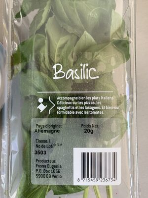 Basilic - 8715459236734