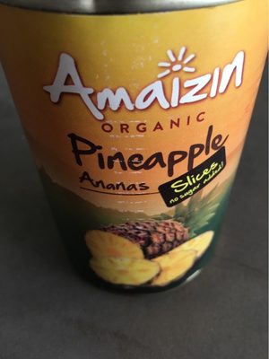 Ananas En Tranches - 8717496904300