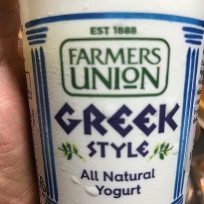 Greek yogurt - 9300658403040