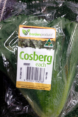 Cosberg Lettuce - 9315054008263