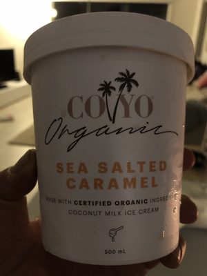 Sea salted caramel coconut milk ice crem - 9351851000468