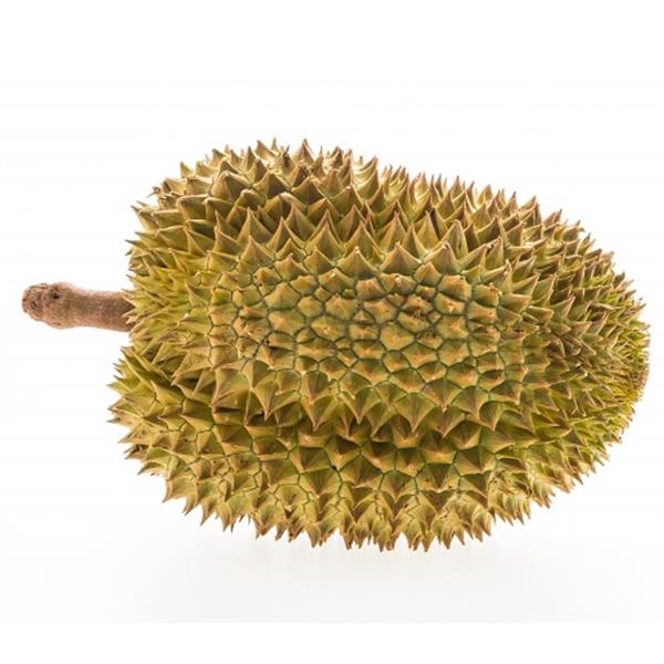 Fresh Durian Whole - durian